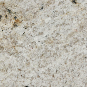 NEW KASHMIR WHITE